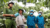 Chủ động phòng, chống tội phạm trong mùa thu hoạch cà phê