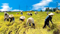 Nắng nóng khắp Bắc và Trung Bộ
