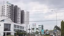 Chuyển giá sự đan xen giữa kinh doanh và tội phạm