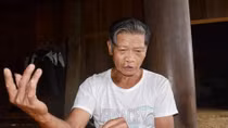 "Mãnh hổ" giữ rừng lim độc nhất ở Trường Sơn