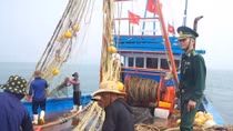 Ngăn chặn tàu giã cào đánh bắt vùng biển gần bờ