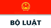 34 tội danh mới, 8 tội danh bị bãi bỏ của Bộ luật Hình sự 2015