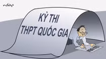 Những điểm số gây nhức nhối xã hội