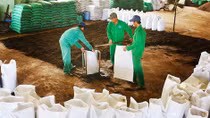 Giải pháp cho nền kinh tế tuần hoàn trong Cách mạng công nghiệp lần thứ tư ở Việt Nam