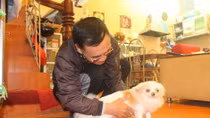 Cái tâm của vị bác sĩ thú y