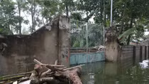 Cuộc sống cực khổ của người dân