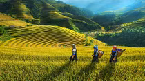 Bắc Bộ nắng nóng giảm nhiệt, chiều tối đổ mưa giông