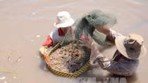 Bổ sung 3 sản phẩm vào Chương trình phát triển quốc gia