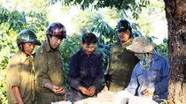 Gian nan bảo hộ thương hiệu cà phê Việt