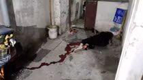 Nghi bị bỏ bùa, thầy cúng vác dao truy sát gia đình hàng xóm