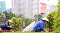 Cần cơ chế cho doanh nghiệp tư nhân tham gia dịch vụ công ích