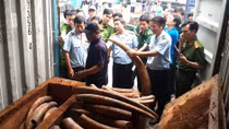 Triệt phá nhiều đường dây buôn lậu núp dưới chiêu bài hàng quá cảnh
