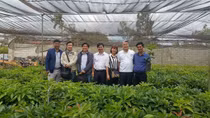 Người góp phần làm thay đổi vùng đất Tây Nguyên từ cây bơ