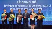 Tổng công ty Điện lực miền Bắc bổ nhiệm nữ Tổng giám đốc