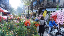Chợ hoa Tết phố cổ