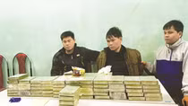 Vận chuyển 263 bánh heroin với tiền công 1,3 tỷ đồng
