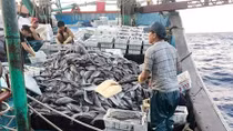 Một tàu cá Nghệ An bị chìm trên biển