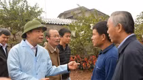 Chủ động nguồn thực phẩm dịp cuối năm
