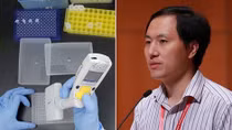 Nhà chỉnh sửa gene trẻ sơ sinh đối mặt với bản án nào?