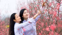 Mùng 3 Tết, Hà Nội vẫn duy trì nắng nóng 29 độ C