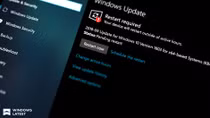 Dữ liệu người dùng “không cánh mà bay” vì cập nhật Windows 10