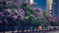 Hà Nội lất phất mưa, tiết trời mát mẻ