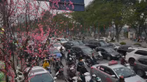 Những tín hiệu vui đầu năm mới