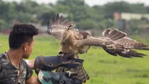 Chơi Tết với… "chúa tể bầu trời"