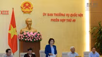 Ủy ban Pháp luật thẩm tra, cho ý kiến về cơ cấu tổ chức Chính phủ