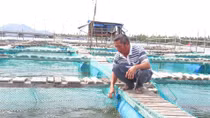Từ người lái xe trở thành “tỷ phú” hải sản bên đầm Cù Mông