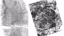 FBI phải trả giá đắt vì nhận dạng sai hung thủ