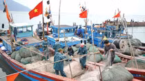 Cơ bản hoàn thành việc chi trả bồi thường thiệt hại do sự cố môi trường biển tại 4 tỉnh miền Trung