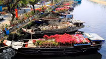 Khổ tận, cam lai
