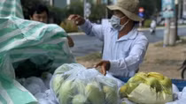 Đặc sản xoài cát Hòa Lộc rớt giá 