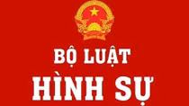 Pháp nhân thương mại phạm tội sẽ bị phạt tiền, đình chỉ hoạt động có thời hạn, đình chỉ hoạt động vĩnh viễn