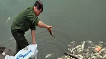 Ẩn họa môi trường từ khu công nghiệp Tằng Loỏng