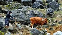 Ghi ở vùng đất cao nguyên đá