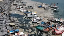 Tổng thống Thổ Nhĩ Kỳ hứa giải quyết vấn đề chất nhầy ở Biển Marmara
