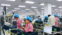 Phải giám sát chặt và trả công thỏa đáng