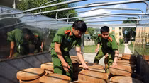 Lâm tặc và đầu nậu nhởn nhơ vì “giơ thấp đánh khẽ”
