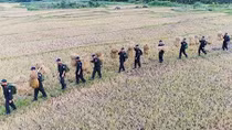Tuổi trẻ Cảnh sát Cơ động thi đua lập công