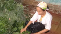 Mục sở thị "thần y" chữa bệnh ung thư bằng thuốc tự chế và niệm thần chú