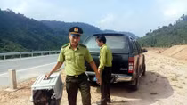 Ngăn chặn tình trạng buôn bán động vật hoang dã trên Internet