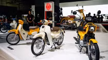 Honda ra mắt nhiều mẫu xe chạy điện “sạch” và thông minh