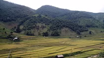 Bí ẩn những ngôi nhà… hoang ở Minh Lương