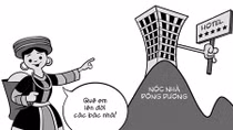 Phỏng vấn Hoa ban