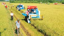 Hội thảo về đề án điều tra, đánh giá quá trình tích tụ đất đai ở địa phương