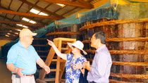 Người làm nước mắm truyền thống Phú Quốc lại bị “sốc”