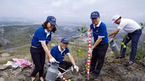 Trồng cây hoàn nguyên môi trường tại Quảng Ninh