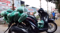 Sinh viên Hà Nội chung tay "giải cứu" dưa hấu giúp nông dân Quảng Ngãi
